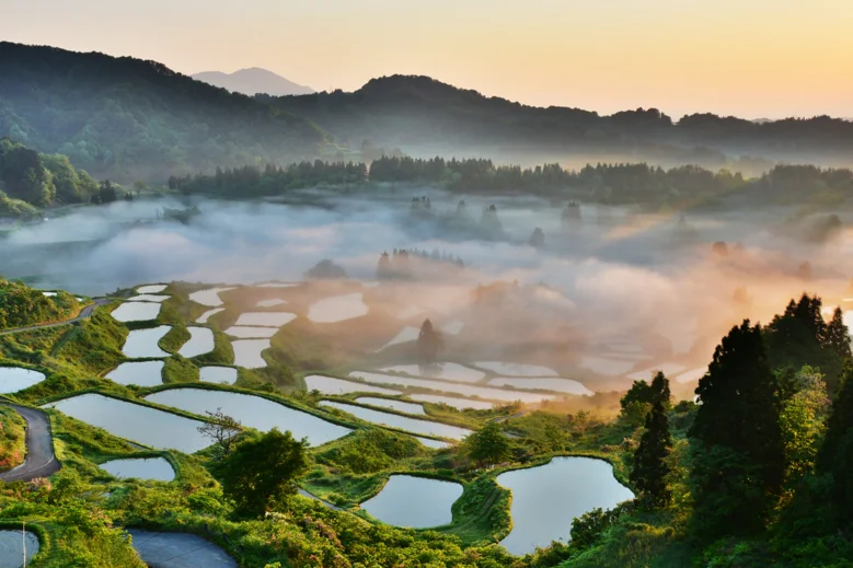 90796-393-ac174116c09900c2b47f15daa785056c-779x519