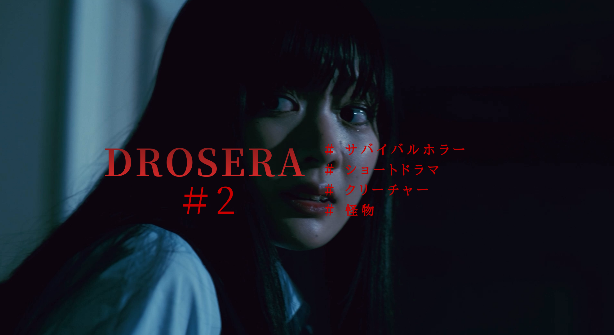 video-section-banner-image