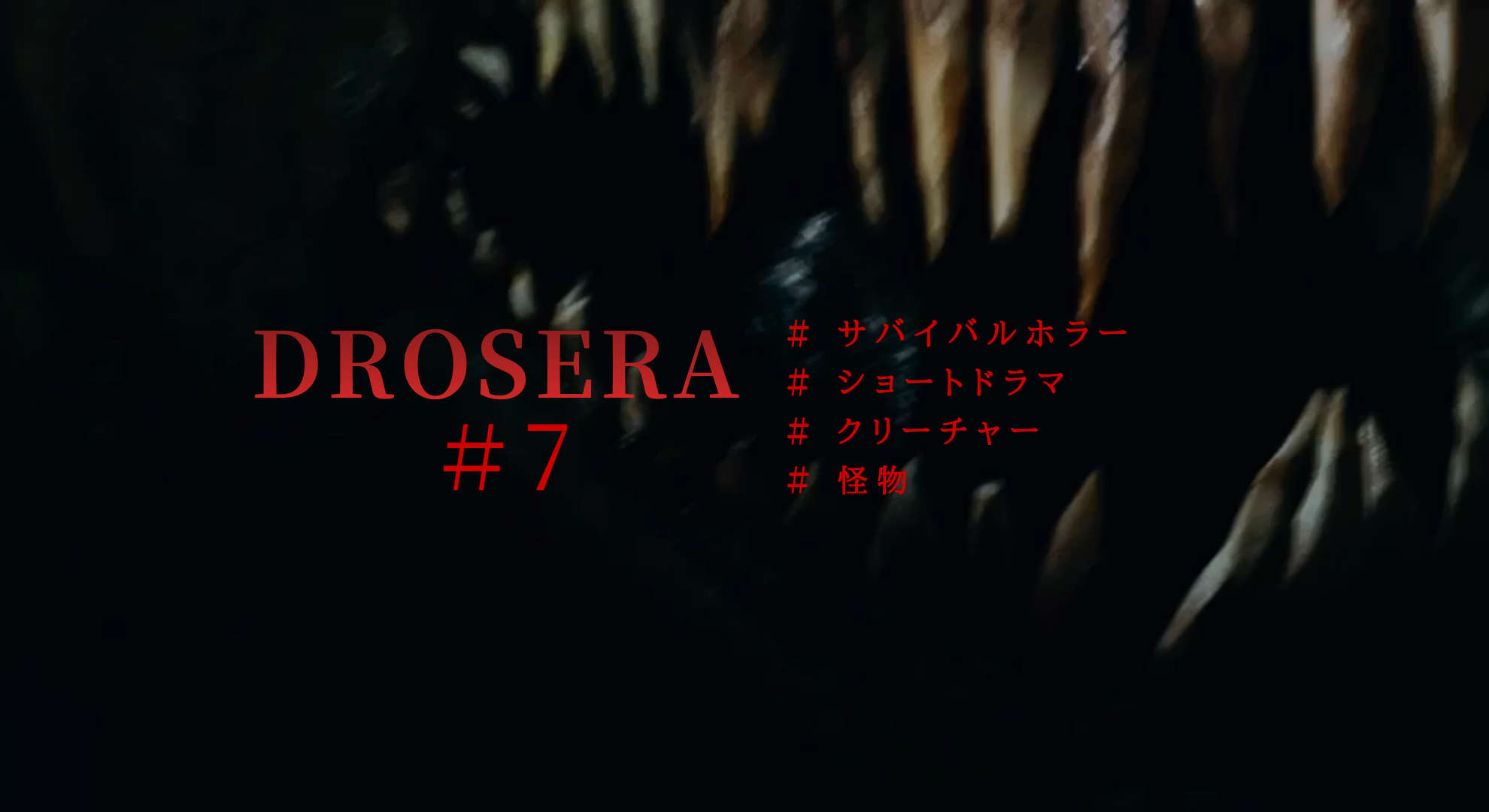 video-section-banner-image