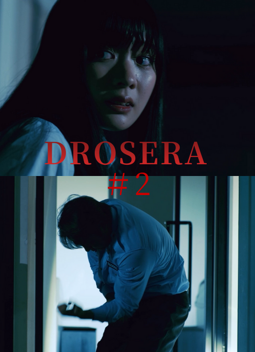 drosera #2