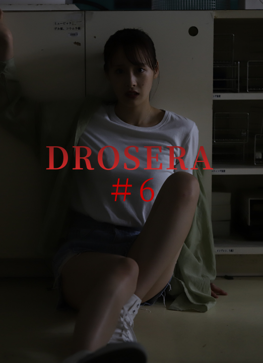 drosera #6